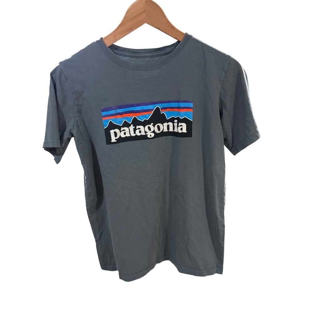 Patagonia‎ Womens XL 14 Short Sleeve Fitz Roy Logo Graphic T-Shirt Blue Grey